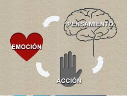 Psicología Cognitivo-Conductual-Social Imagen